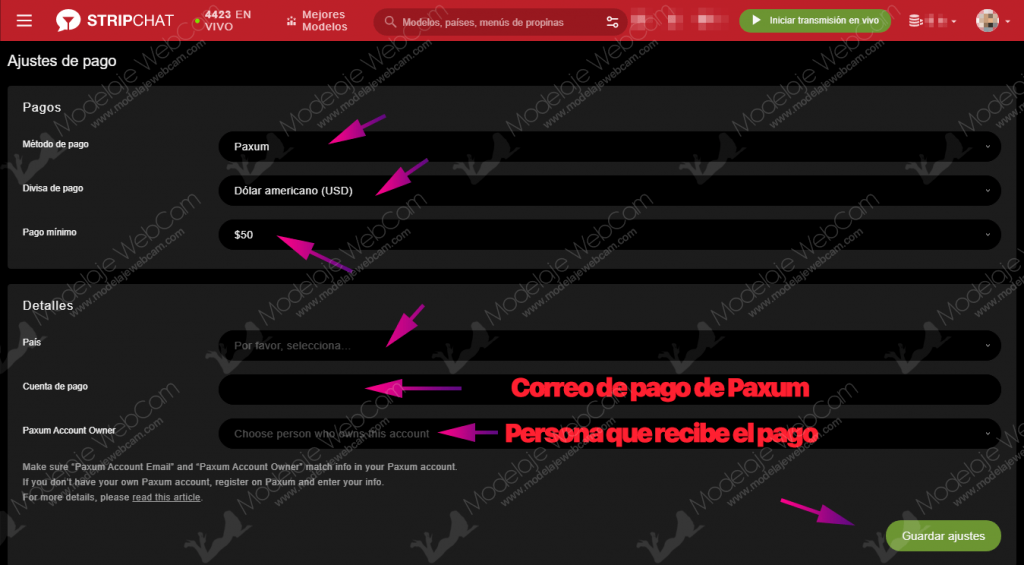 Configurar pagos en Stripchat