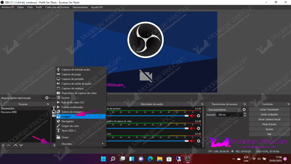 Agregar imagen en OBS durante la transmisión