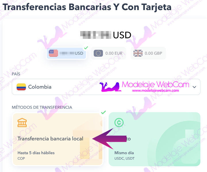 Cómo retirar las ganancias de Paxum vía Transferencia Bancaria Local