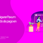 Cómo configurar Paxum como método de pago en Stripchat