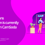 What means Your room is currently hidden on CamSoda