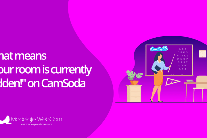 What means Your room is currently hidden on CamSoda