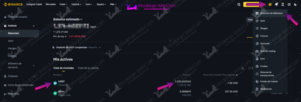 Binance - Resumen de billeteras