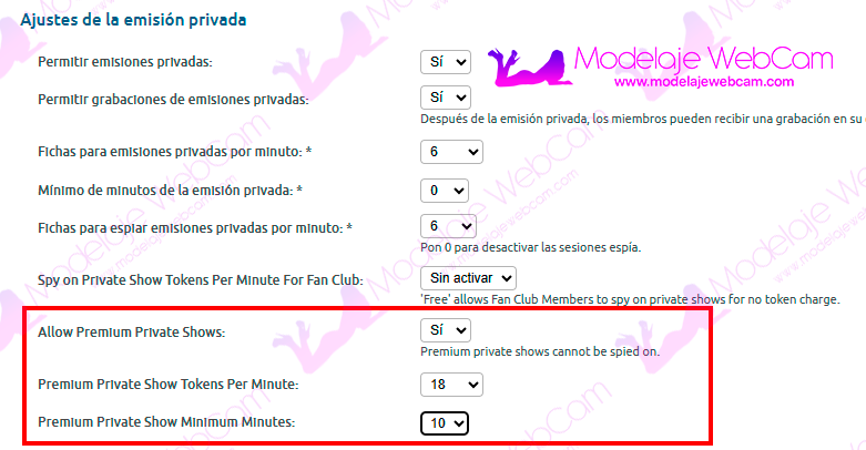 Chaturbate - Opciones del show privado premium